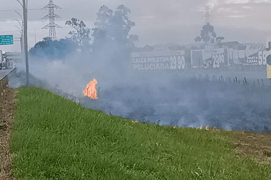 Ilustração editorial de vegetação em chamas com silhuetas de bombeiros ao fundo, próximo a uma rodovia abstrata, sob céu com vento representado por linhas geométricas.